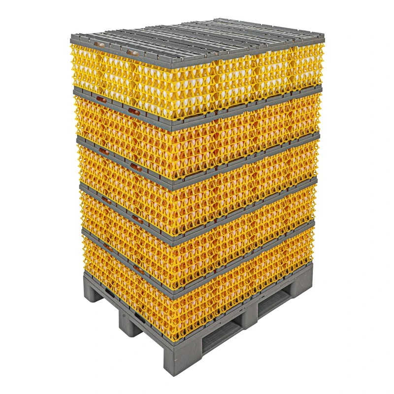 product-800-800