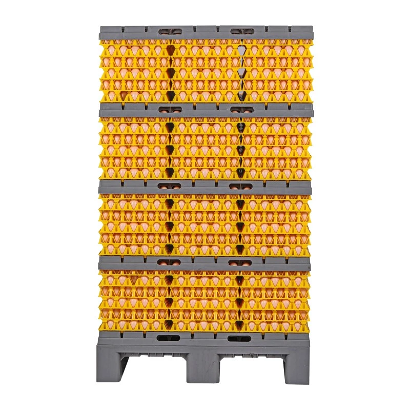 product-800-800